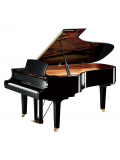 C7X (Polished Ebony), зображення 1